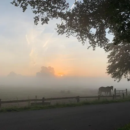 Apartment Am Thalenbusch
