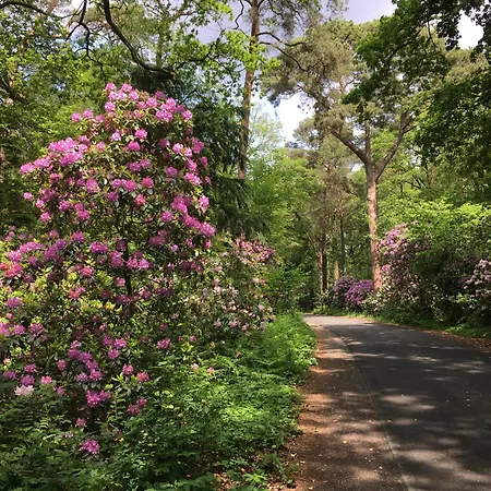 Am Thalenbusch Apartment Westerstede