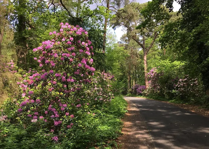 Am Thalenbusch Apartamento Westerstede